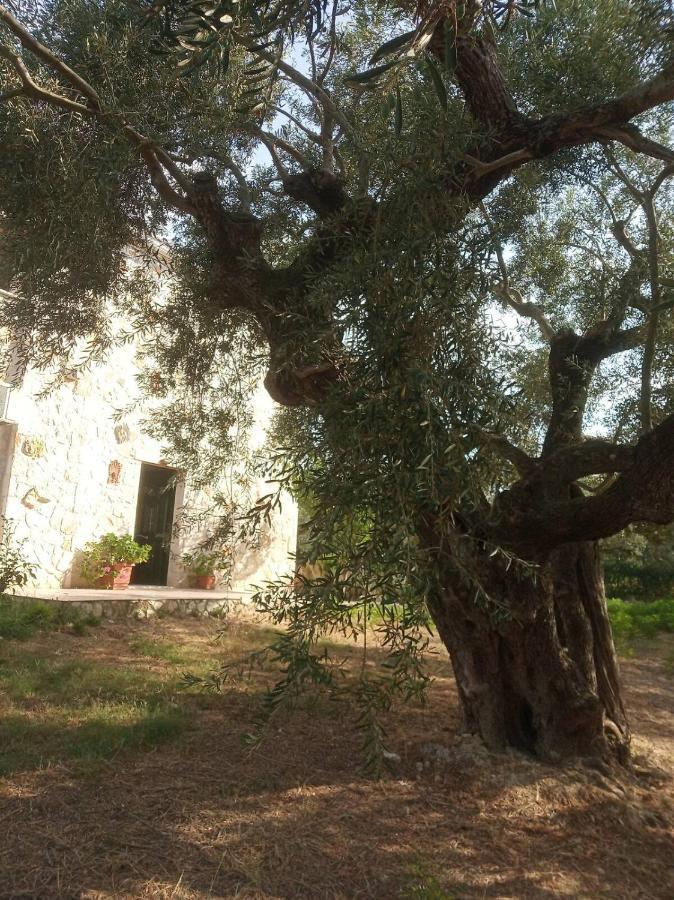Вилла Olive Trees Трагаки Экстерьер фото